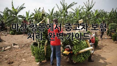 마산 창동에서 중고차 보험 처리? 🚗💨 완벽 가이드!