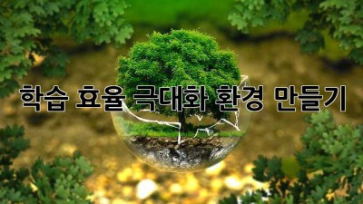 학습 효율 극대화 환경 만들기