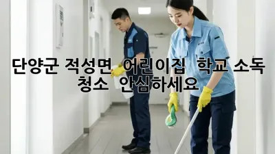 단양군 적성면 🏫 어린이집 & 학교 소독 청소 ✨ 안심하세요!