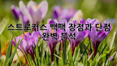 스트로커스 백팩: 장점과 단점 완벽 분석